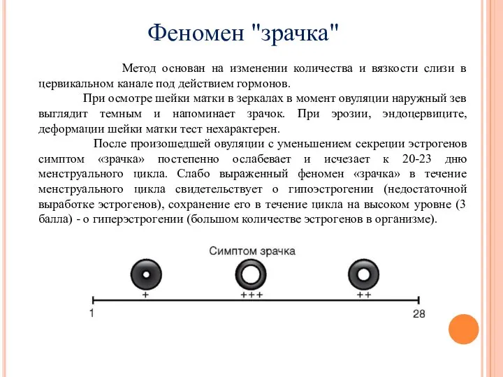 Феномен "зрачка" Метод основан на изменении количества и вязкости слизи в цервикальном