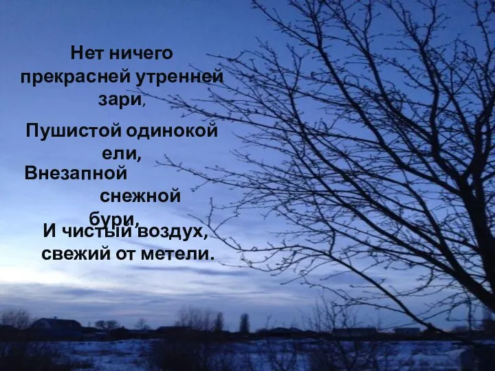 Нет ничего прекрасней утренней зари, Пушистой одинокой ели, Внезапной снежной бури, И