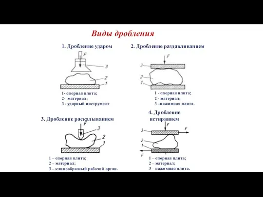 Виды дробления