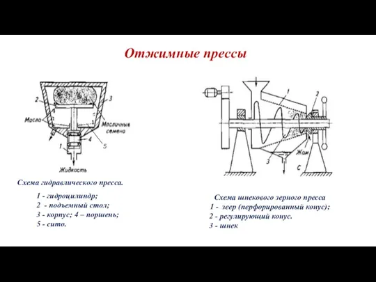 Отжимные прессы Схема шнекового зерного пресса 1 - зеер (перфорированный конус); 2