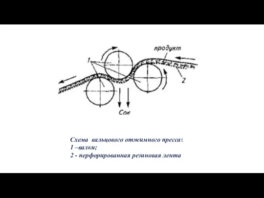 Схема вальцового отжимного пресса: 1 –валки; 2 - перфорированная резиновая лента