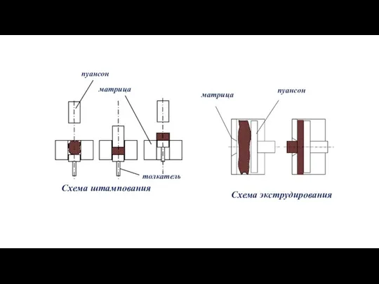 матрица Схема экструдирования