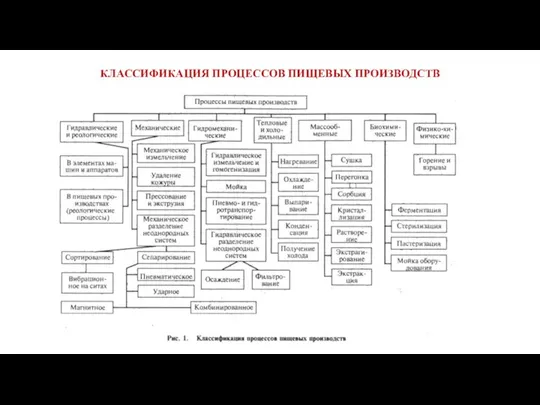 КЛАССИФИКАЦИЯ ПРОЦЕССОВ ПИЩЕВЫХ ПРОИЗВОДСТВ