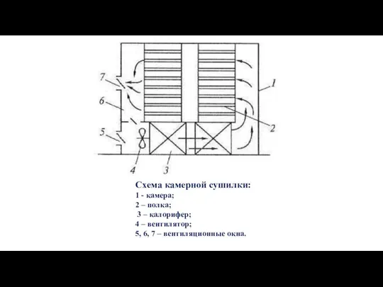 Схема камерной сушилки: 1 - камера; 2 – полка; 3 – калорифер;