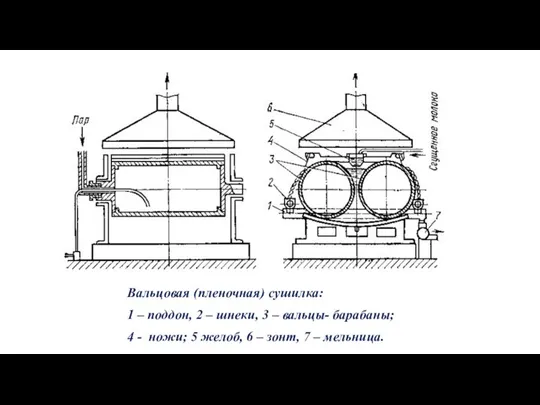 Вальцовая (пленочная) сушилка: 1 – поддон, 2 – шнеки, 3 – вальцы-