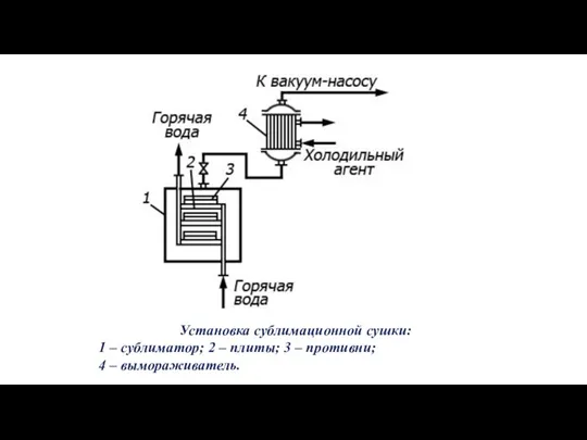 Установка сублимационной сушки: 1 – сублиматор; 2 – плиты; 3 – противни; 4 – вымораживатель.