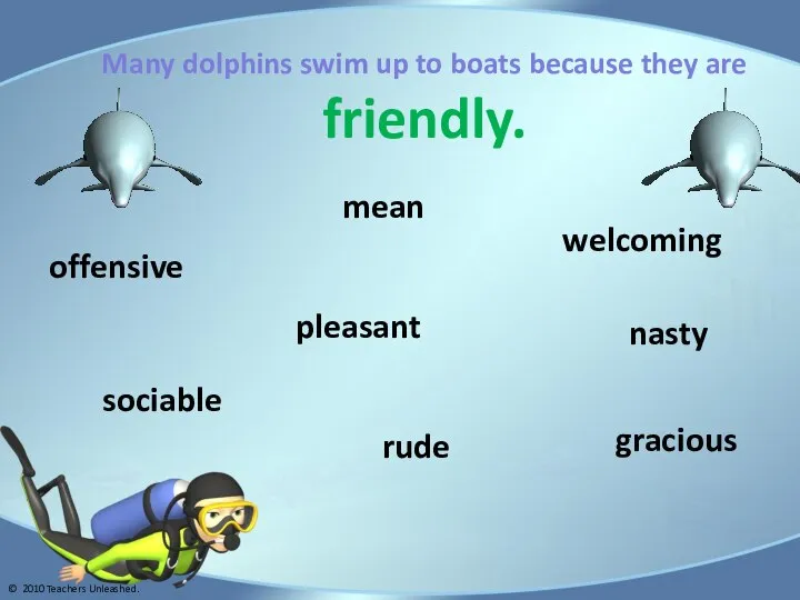 Many dolphins swim up to boats because they are friendly. gracious welcoming