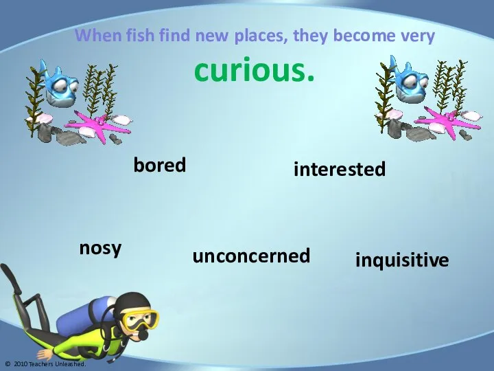 When fish find new places, they become very curious. unconcerned inquisitive nosy