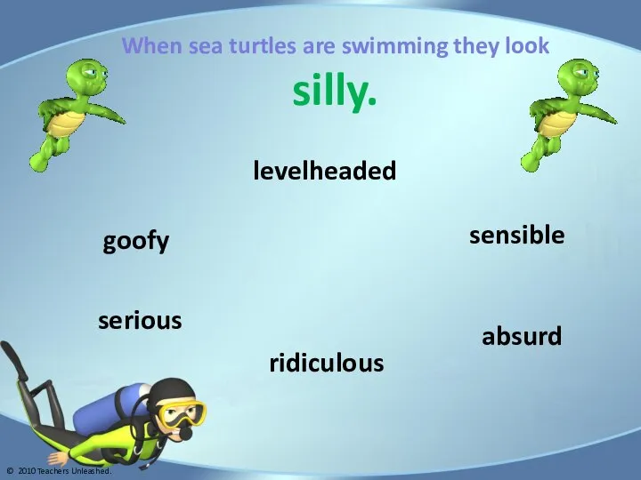 When sea turtles are swimming they look silly. serious absurd ridiculous goofy