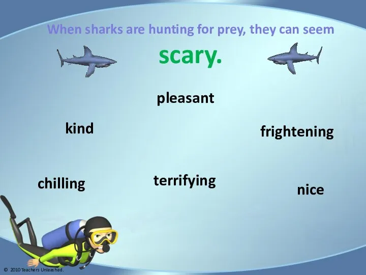 When sharks are hunting for prey, they can seem scary. nice chilling