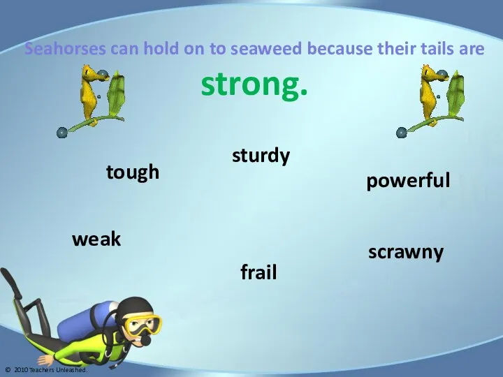 Seahorses can hold on to seaweed because their tails are strong. scrawny
