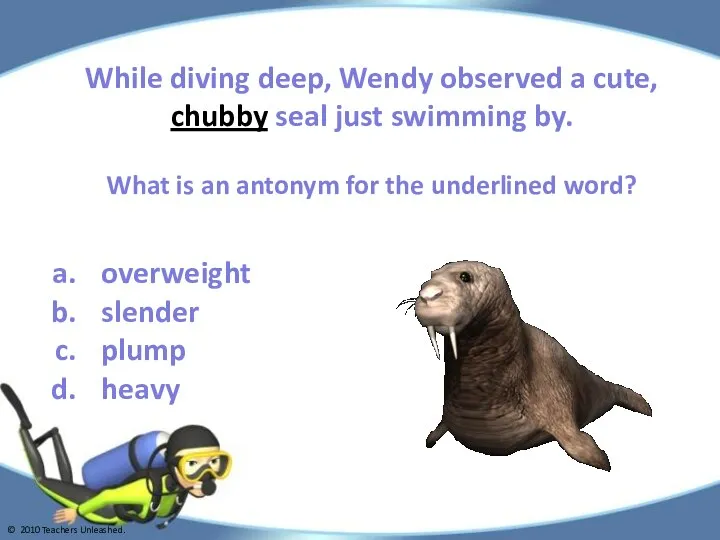 While diving deep, Wendy observed a cute, chubby seal just swimming by.