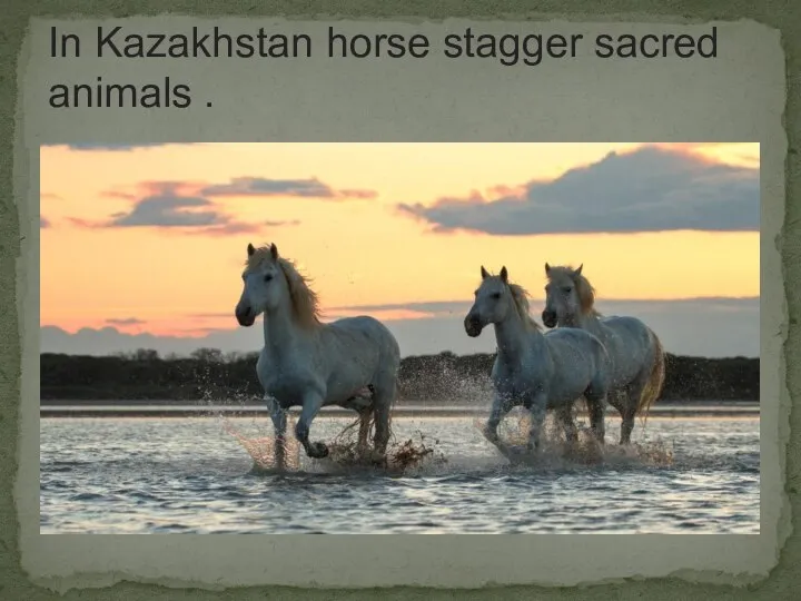 In Kazakhstan horse stagger sacred animals .