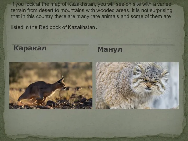Каракал If you look at the map of Kazakhstan, you will see