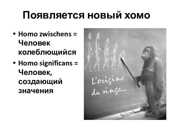 Появляется новый хомо Homo zwischens = Человек колеблющийся Homo significans = Человек, создающий значения