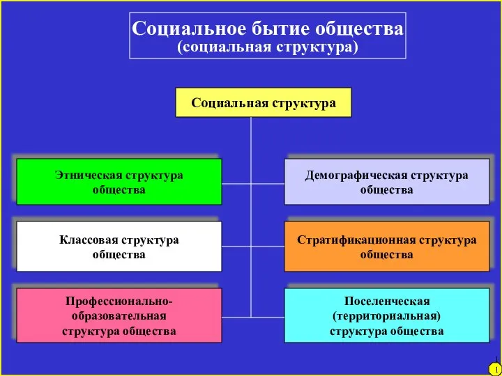 Социальное бытие общества (социальная структура) Социальная структура Этническая структура общества Классовая структура