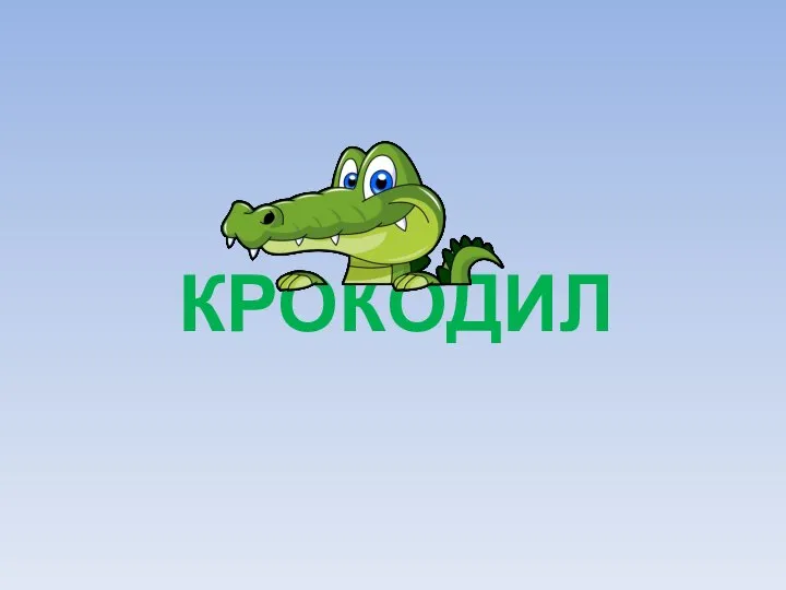 КРОКОДИЛ