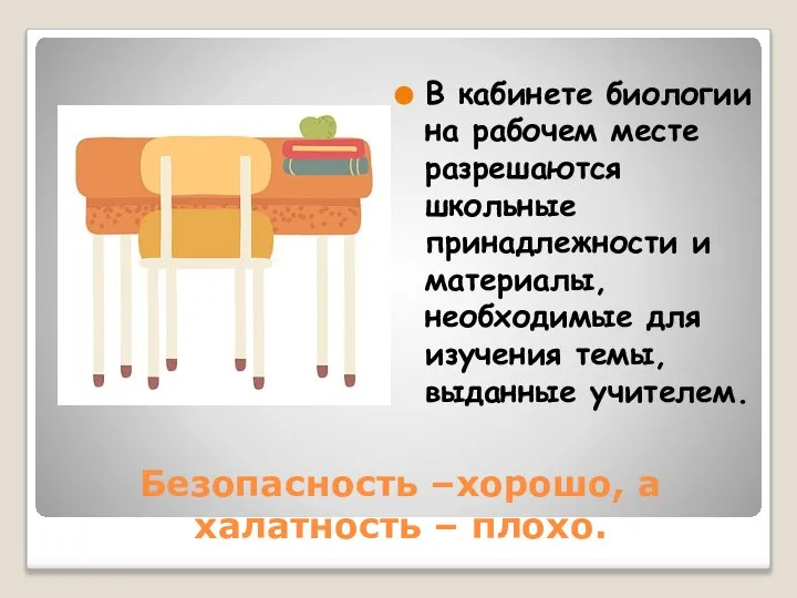 Безопасность –хорошо, а халатность – плохо. В кабинете биологии на рабочем месте