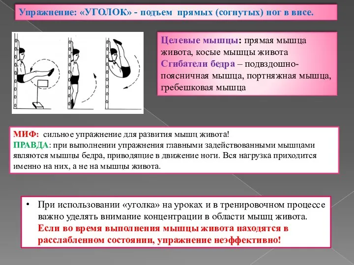 Упражнение: «УГОЛОК» - подъем прямых (согнутых) ног в висе. Целевые мышцы: прямая