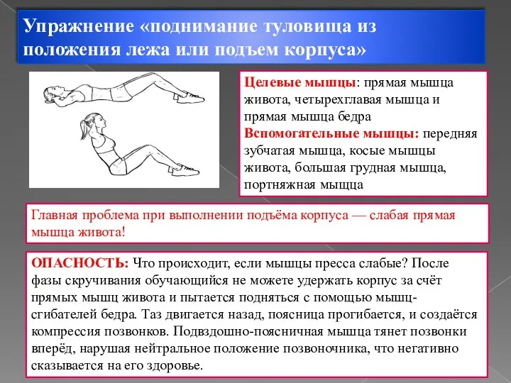 Упражнение «поднимание туловища из положения лежа или подъем корпуса» Целевые мышцы: прямая