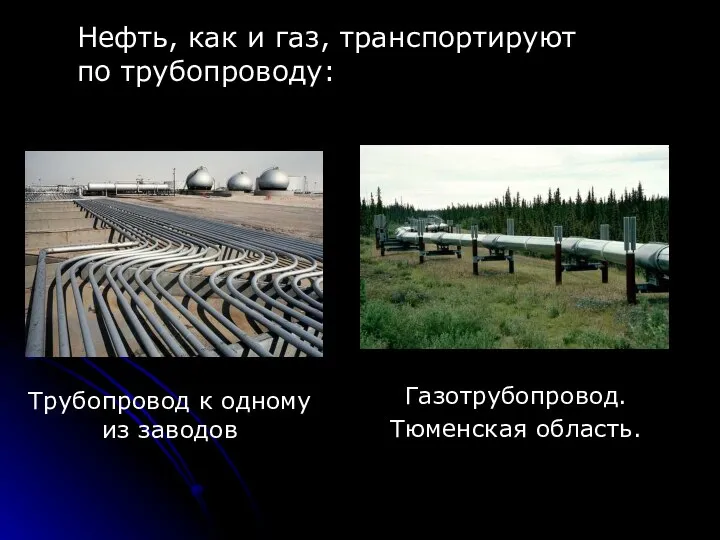 Нефть, как и газ, транспортируют по трубопроводу: Трубопровод к одному из заводов Газотрубопровод. Тюменская область.