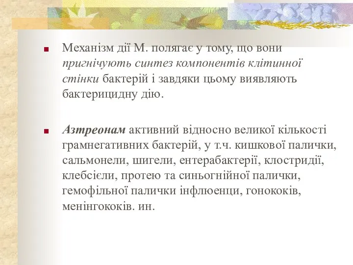 Механізм дії М. полягає у тому, що вони пригнічують синтез компонентів клітинної