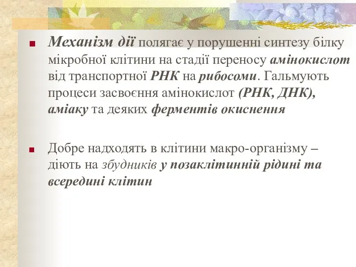 Механізм дії полягає у порушенні синтезу білку мікробної клітини на стадії переносу