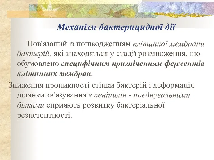 Механізм бактерицидної дії Пов'язаний із пошкодженням клітинної мембрани бактерій, які знаходяться у