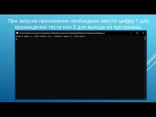 При запуске приложения необходимо ввести цифру 1 для прохождения теста или 0 для выхода из программы.