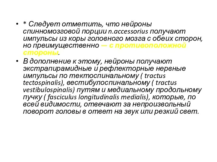 * Следует отметить, что нейроны спинномозговой порции n.accessorius получают импульсы из коры