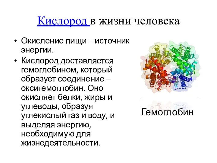 Окисление пищи – источник энергии. Кислород доставляется гемоглобином, который образует соединение –