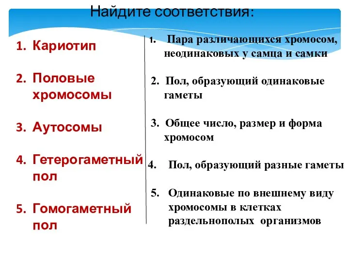 Найдите соответствия: Кариотип Половые хромосомы Аутосомы Гетерогаметный пол Гомогаметный пол Пара различающихся