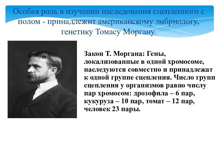 Томас Хант Морган — американский биолог, один из основоположников генетики, председатель Шестого