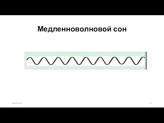 Медленноволновой сон 08.09.2020