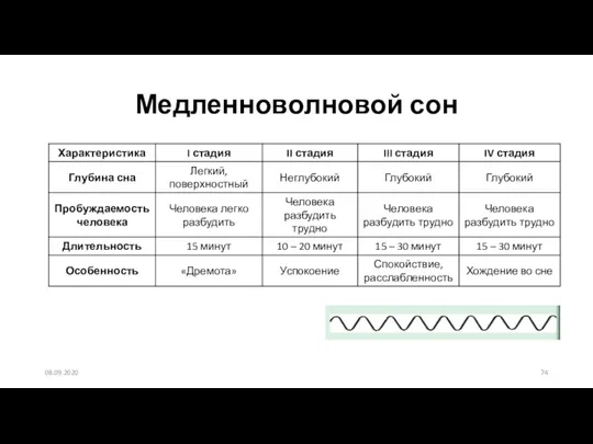 08.09.2020 Медленноволновой сон