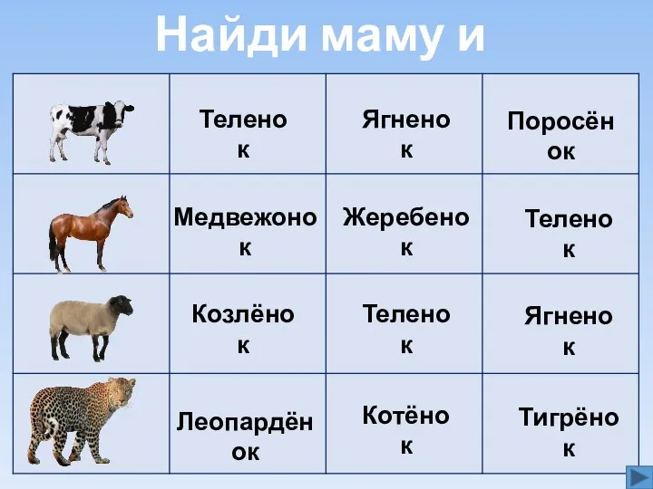 Найди маму и детеныша Теленок Ягненок Поросёнок Медвежонок Жеребенок Теленок Козлёнок Теленок Ягненок Котёнок Тигрёнок Леопардёнок