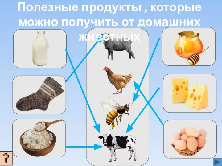 Полезные продукты , которые можно получить от домашних животных