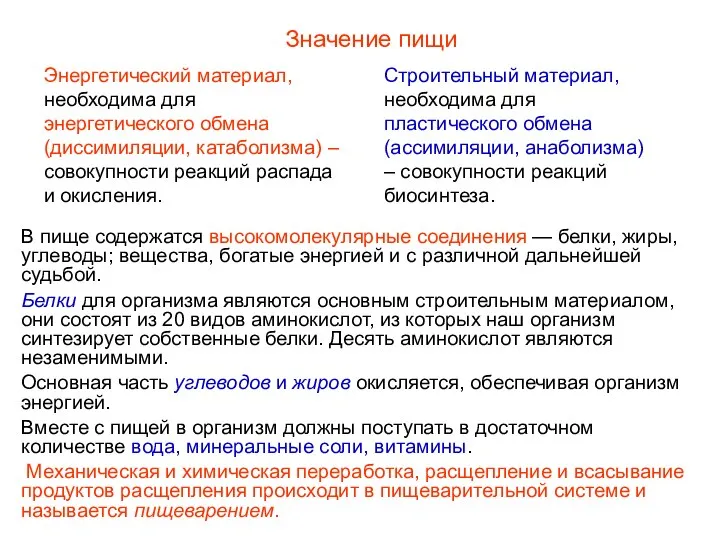 В пище содержатся высокомолекулярные соединения — белки, жиры, углеводы; вещества, богатые энергией