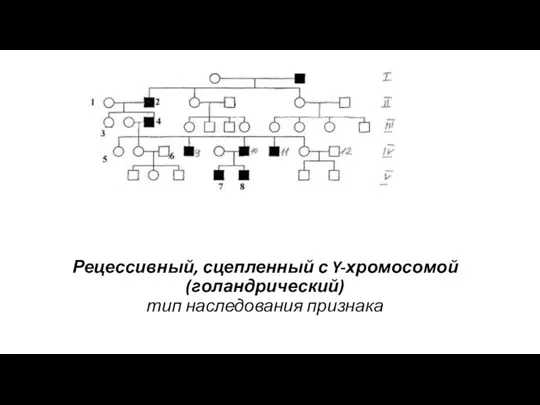 Рецессивный, сцепленный с Y-хромосомой (голандрический) тип наследования признака