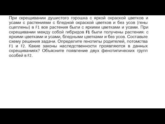 При скрещивании душистого горошка с яркой окраской цветков и усами с растениями