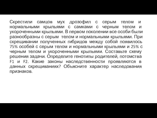 Скрестили самцов мух дрозофил с серым телом и нормальными крыльями с самками