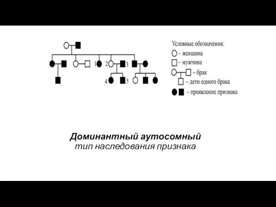 Доминантный аутосомный тип наследования признака