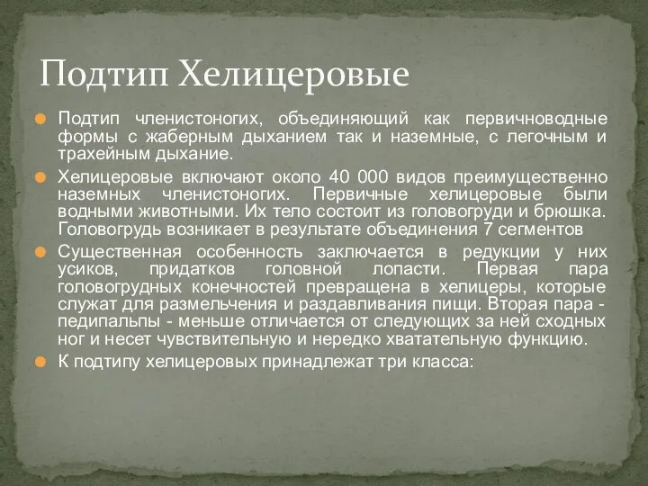 Подтип членистоногих, объединяющий как первичноводные формы с жаберным дыханием так и наземные,