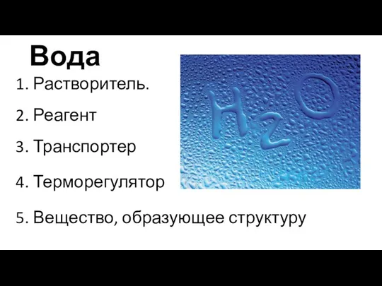 Вода 1. Растворитель. 2. Реагент 3. Транспортер 4. Терморегулятор 5. Вещество, образующее структуру