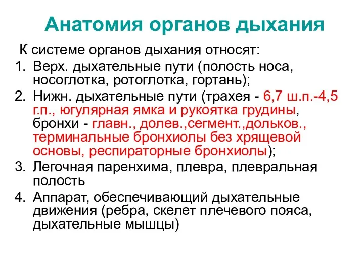 Анатомия органов дыхания К системе органов дыхания относят: Верх. дыхательные пути (полость