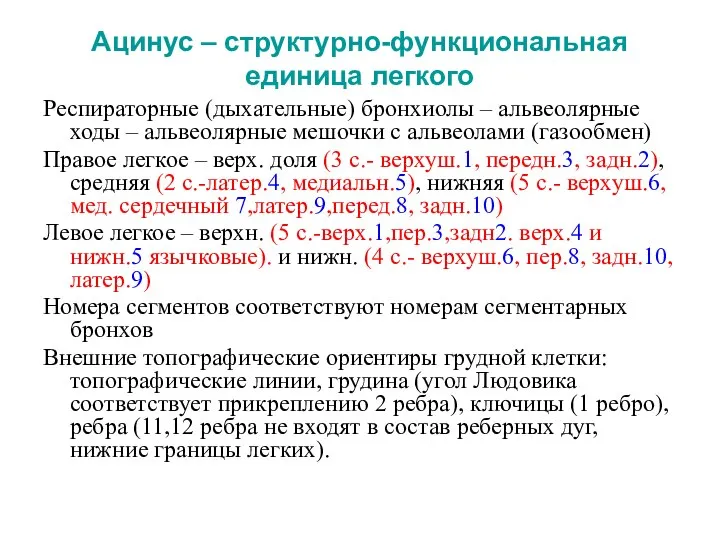 Ацинус – структурно-функциональная единица легкого Респираторные (дыхательные) бронхиолы – альвеолярные ходы –