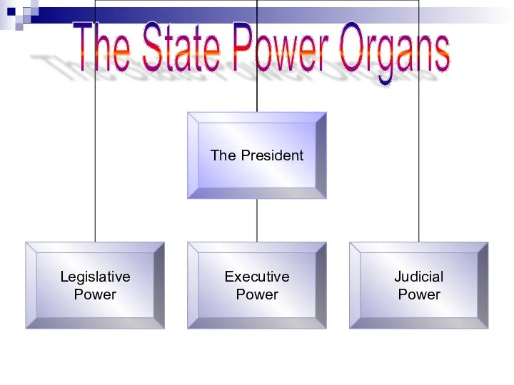 The State Power Organs