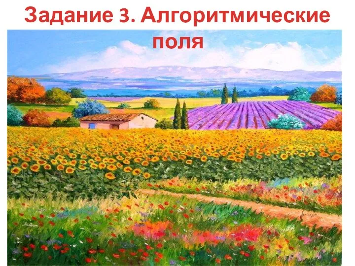 Задание 3. Алгоритмические поля