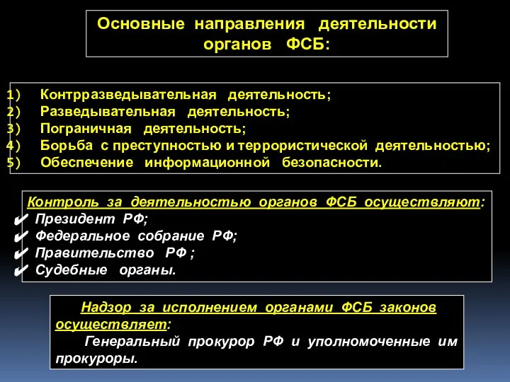 Контрразведывательная деятельность; Разведывательная деятельность; Пограничная деятельность; Борьба с преступностью и террористической деятельностью;