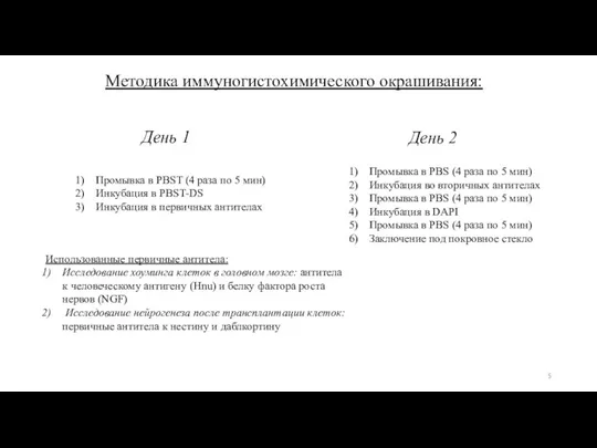 Методика иммуногистохимического окрашивания: День 1 День 2 Промывка в PBST (4 раза